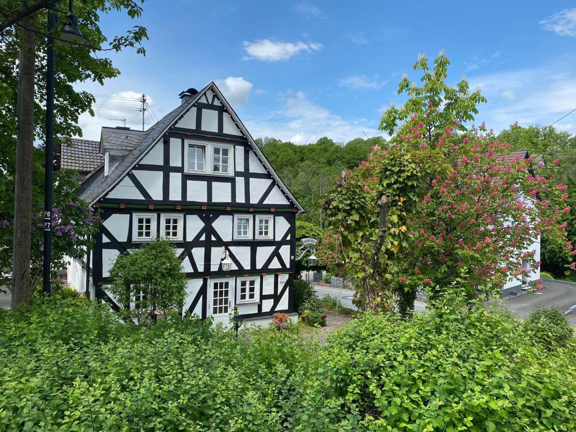 Appartement Bi Abbas Jong à Freudenberg  Extérieur photo
